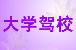 大学驾校